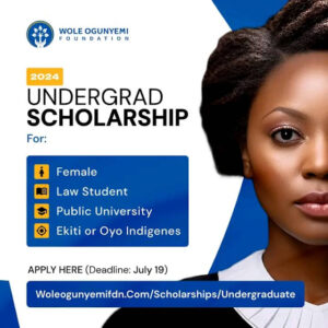 Wole Ogunyemi Foundation Undergraduate Scholarship 2024